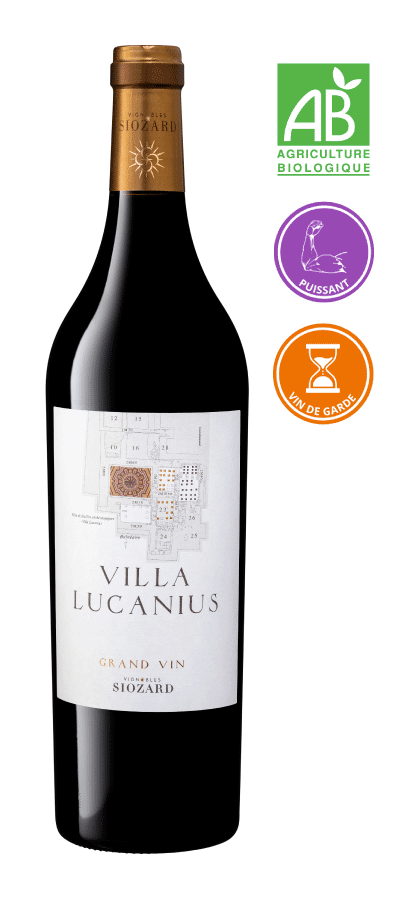 Villa Lucanius 2023